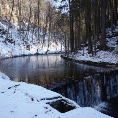 Zima